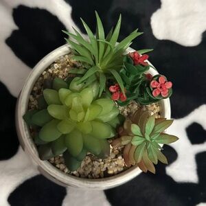 Mainstays Faux Succulent Arrangement in White Pot